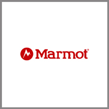 Marmot